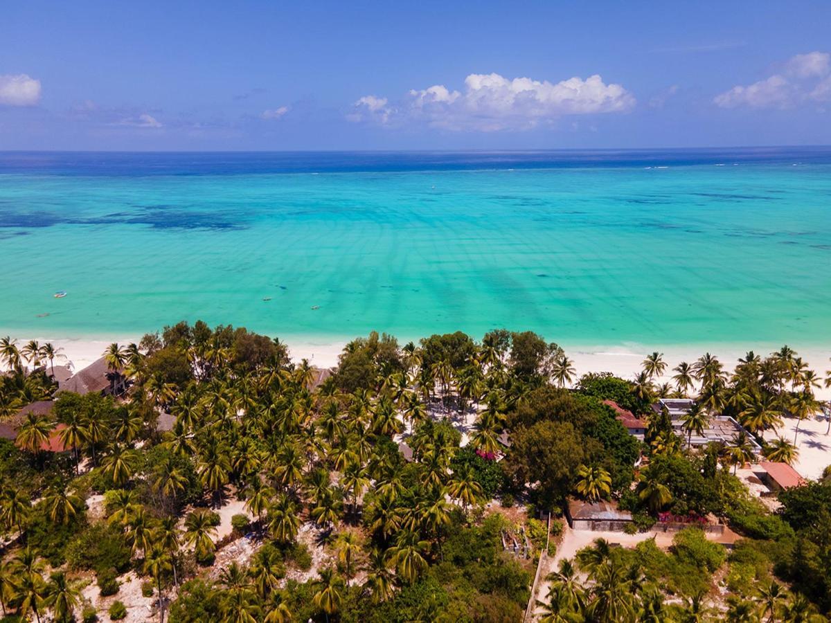 Heart Of Zanzibar Bungalows Paje Eksteriør billede